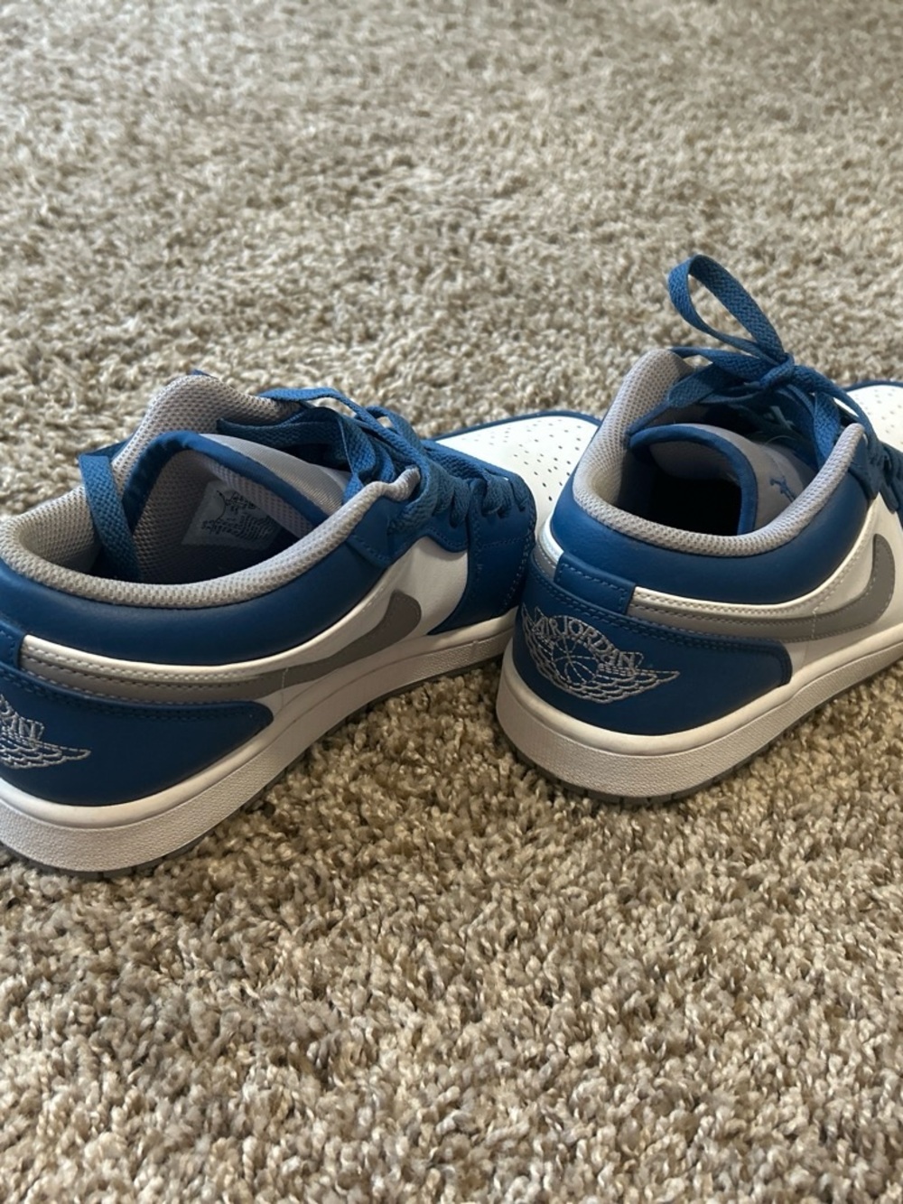 Nike Blue and White Low-Top Sneakers